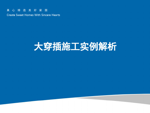 大穿插施工实例解析29页