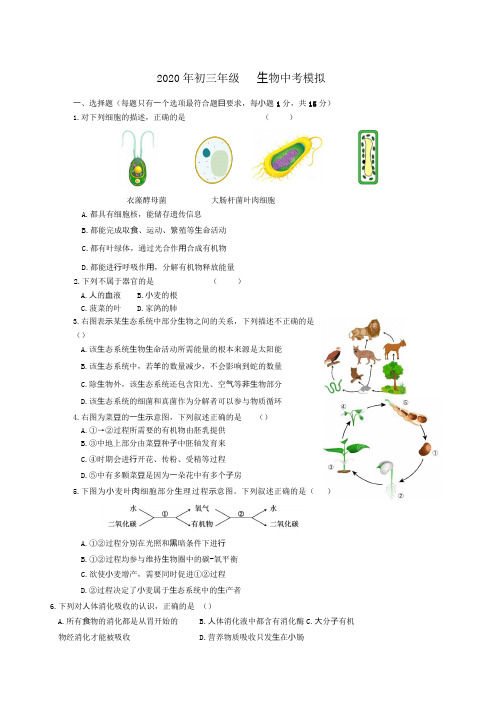 2020初三中考生物模拟试卷 附答案