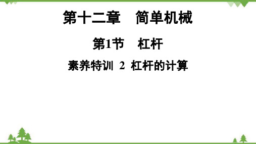 人教版物理八年级下册第12章第1节素养特训杠杆的计算课件