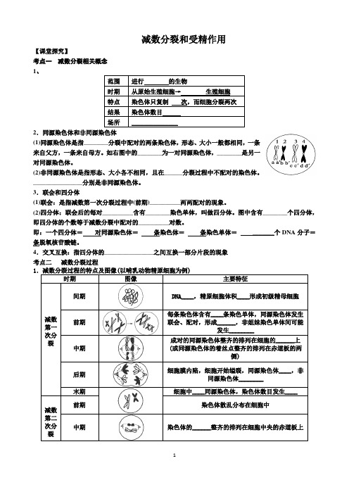 高三生物一轮复习   减数分裂与受精作用 学案