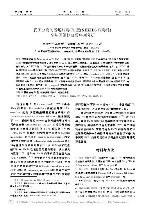 我国分离的肠道病毒71型_SHZH03病毒株_全基因组核苷酸序列分析