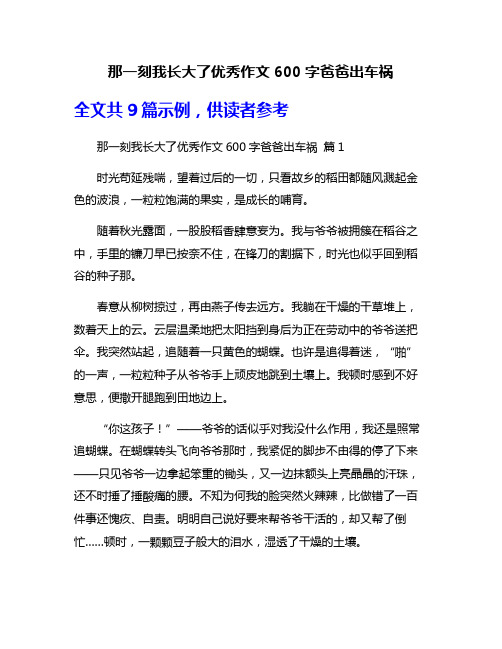 那一刻我长大了优秀作文600字爸爸出车祸