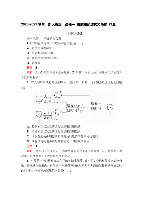 2020-2021学年高中生物新人教版必修1     细胞核的结构和功能 作业