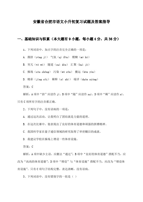 安徽省合肥市语文小升初复习试题及答案指导