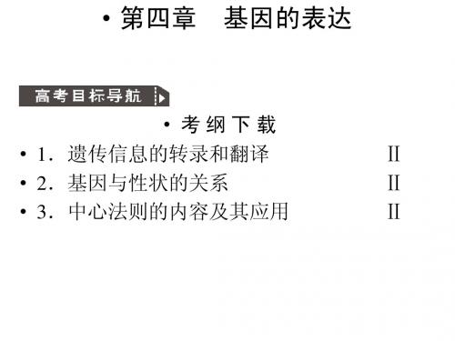 人教版教学课件2011高考生物一轮复习课件：必修2 基因指导蛋白质的合成基因对性状的控制ppt