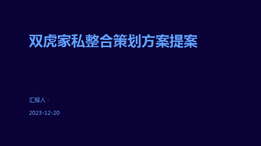 双虎家私整合策划方案提案