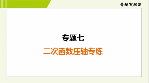 2025年中考数学总复习第一部分专题突破训练专题7二次函数压轴专练