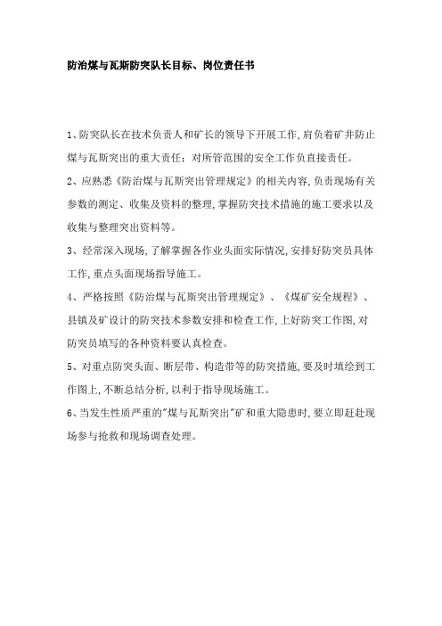 防治煤与瓦斯防突队长目标、岗位责任书