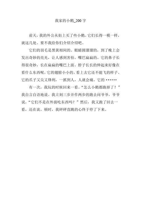 我家的小鹅_200字