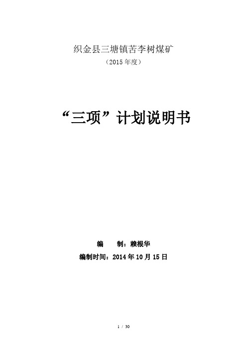 X年度三项计划3