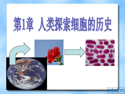 北师大版高中生物必修一1.1《细胞学说的建立》优质课件(15张)(共15张PPT)