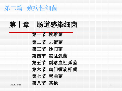 致病性细菌第十章肠道感染细菌