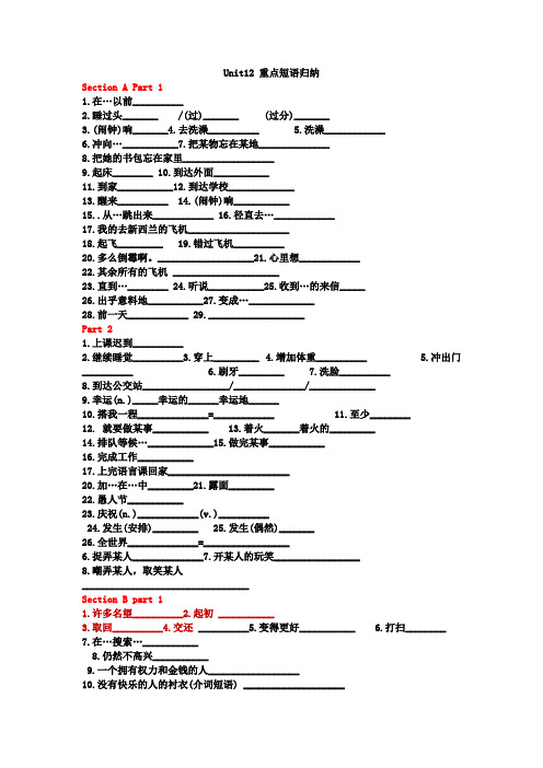 Unit12+重点短语归纳+2024-2025学年人教版英语九年级全册+