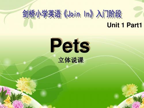 三年级英语下册 Unit 1 Pets 立体说课 精美课件 Join in 外研版