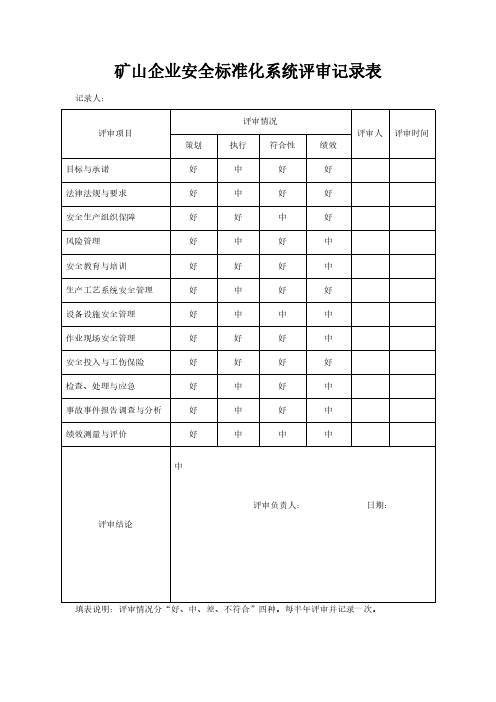 矿山企业安全标准化系统评审记录表模板