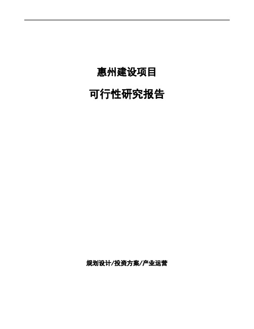 惠州项目可行性研究报告说明