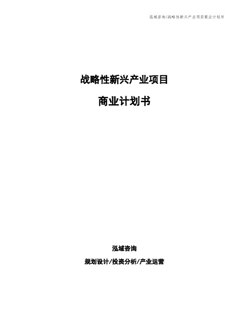 战略性新兴产业项目商业计划书