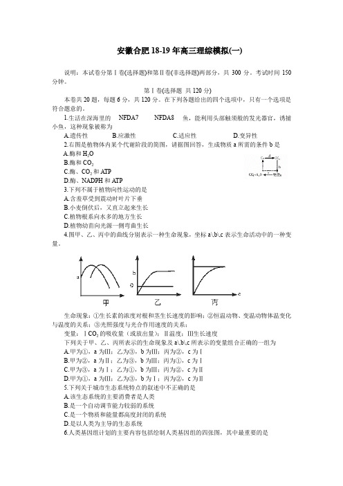 安徽合肥18-19年高三理综模拟(一)