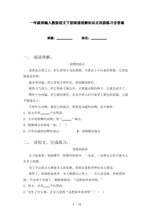 一年级部编人教版语文下册阅读理解知识点巩固练习含答案