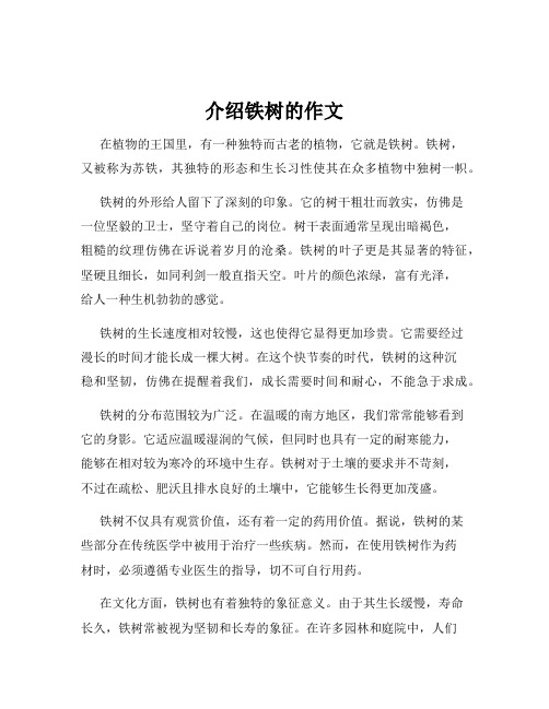 介绍铁树的作文