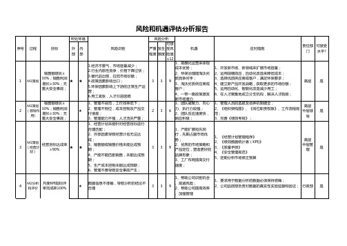 风险与机遇分析评估报告