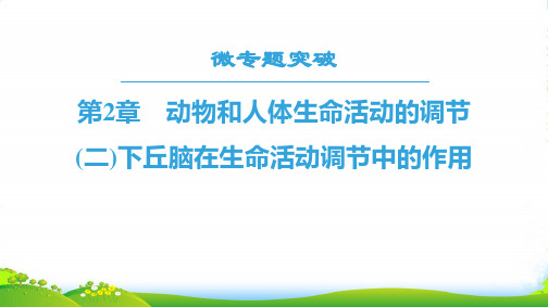 高中生物人教版必修三课件：第2章 微专题突破(二)下丘脑在生命活动调节中的作用