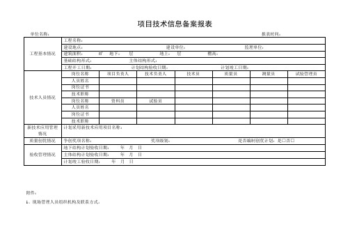 项目技术信息备案报表