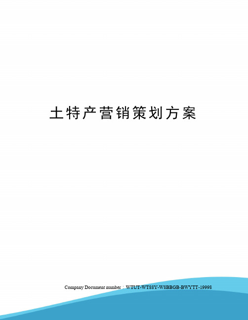 土特产营销策划方案