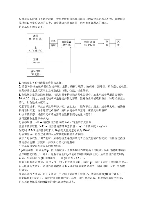 组培培养基配制流程及注意要点