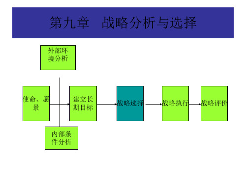 战略分析与选择(ppt 105页)