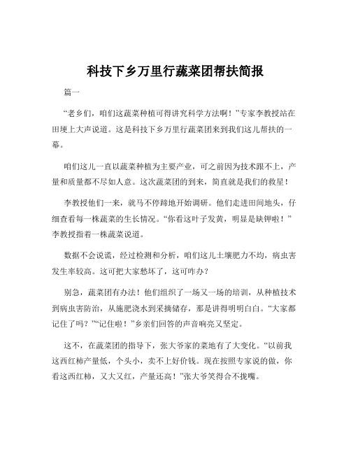 科技下乡万里行蔬菜团帮扶简报