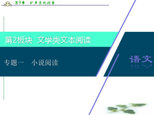 江苏省高考语文大二轮复习课件：文学类文本阅读 1 专题一 小说阅读