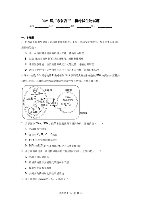 2024届广东省高三二模考试生物试题