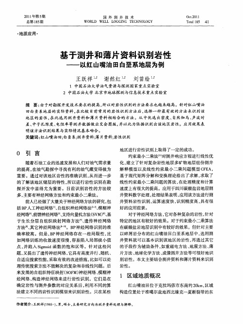 基于测井和薄片资料识别岩性——以红山嘴油田白垩系地层为例