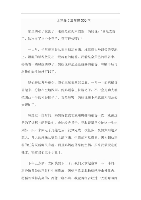 水稻作文三年级300字