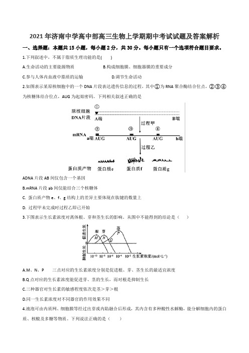 2021年济南中学高中部高三生物上学期期中考试试题及答案解析