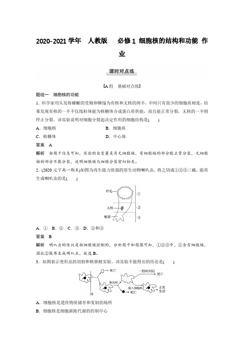 2020-2021学年高中生物新人教版必修1  细胞核的结构和功能 作业