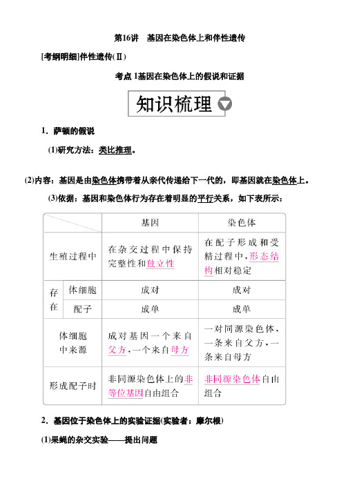 2019版高考生物高分计划一轮讲义：第16讲 基因在染色体上和伴性遗传 Word版含解析