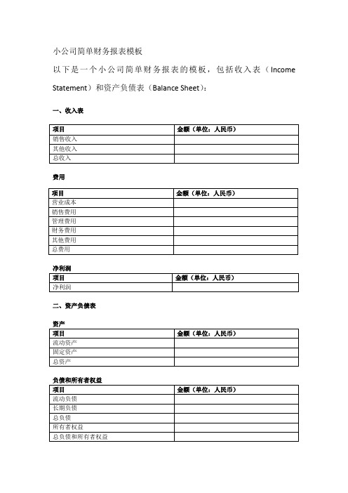 小公司简单财务报表模板