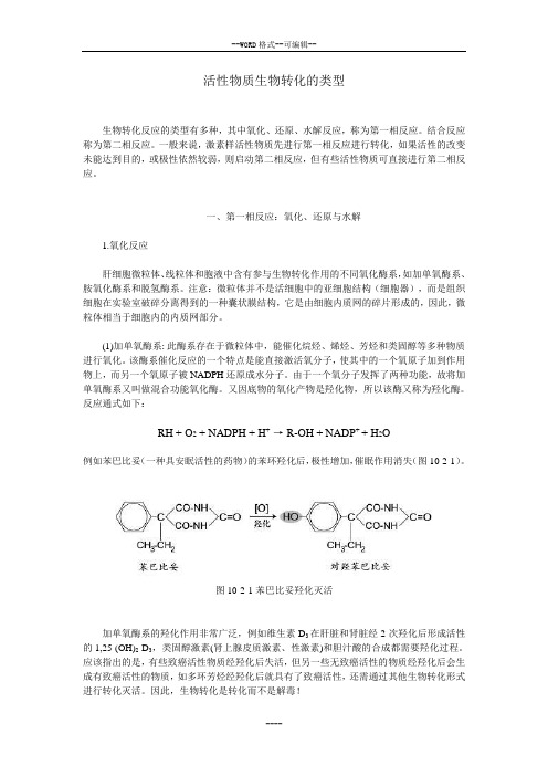 药物体内生物转化活性变化1