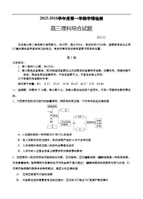 山东省平度市2016届高三统一抽考试题理科综合试题(含答案)