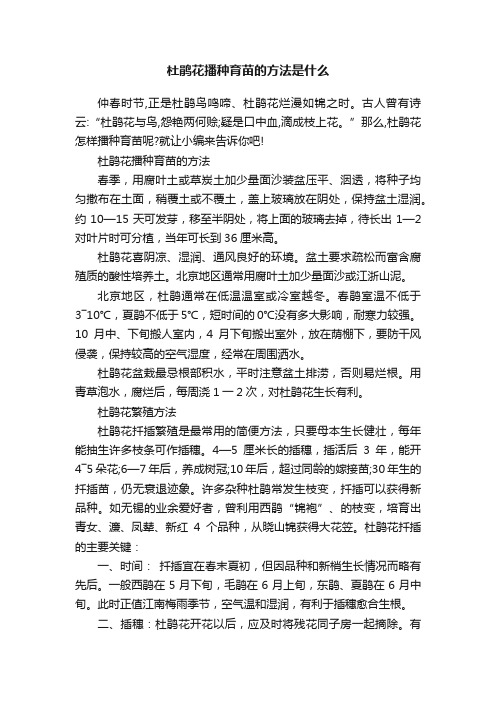 杜鹃花播种育苗的方法是什么