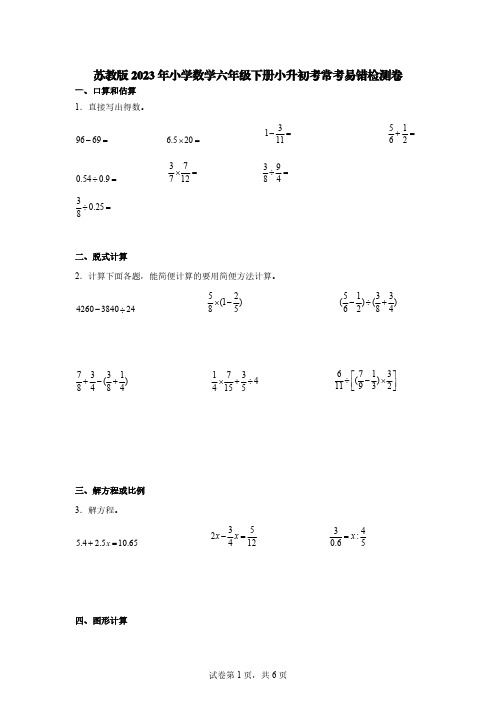 苏教版2023年小学数学六年级下册小升初考常考易错检测卷【含答案】