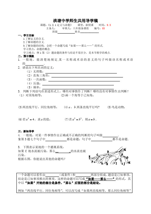 浙教版八年级数学上册  1.2.1定义与命题  导学案