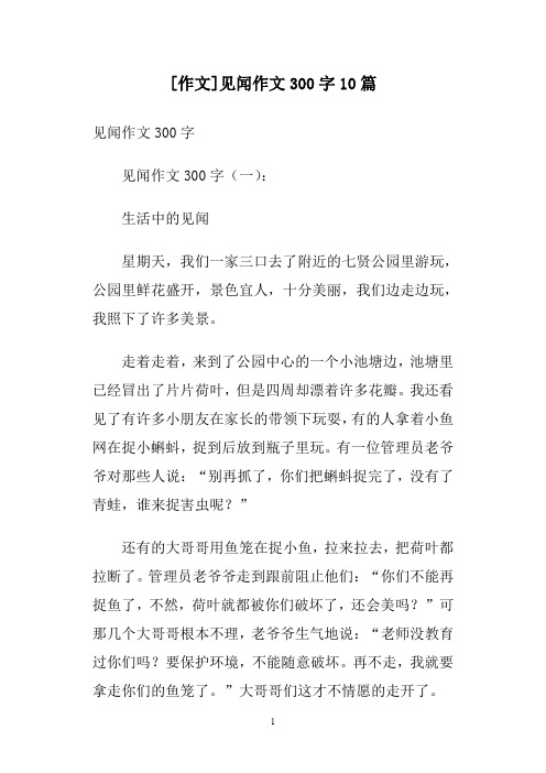 [作文]见闻作文300字10篇