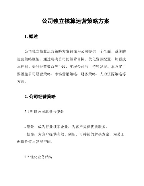 公司独立核算运营策略方案