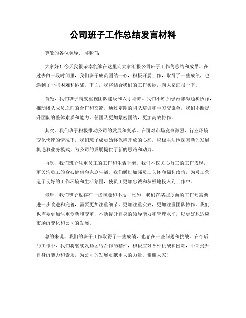 公司班子工作总结发言材料