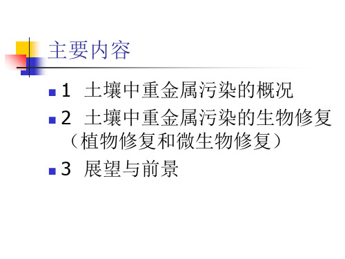 最新土壤中重金属的生物修复技术幻灯片