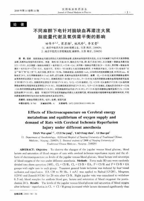 不同麻醉下电针对脑缺血再灌注大鼠脑能量代谢及氧供需平衡的影响