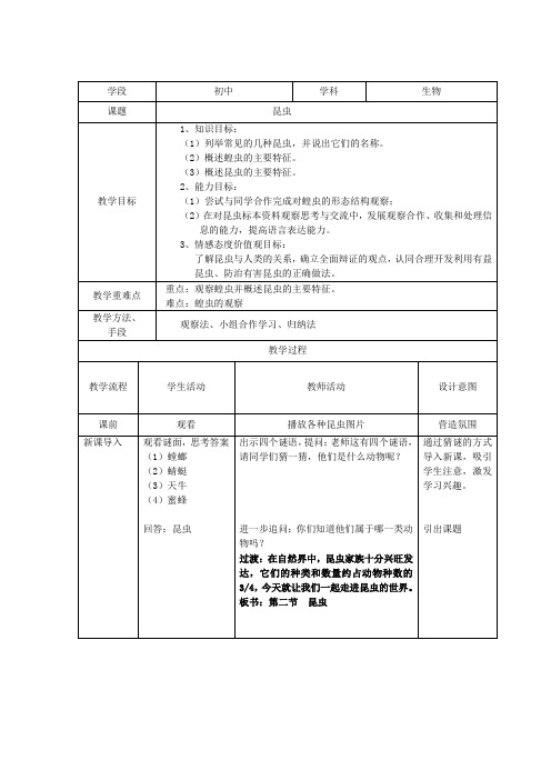 苏科版初中生物七年级下册教案-5.12.2 昆虫13